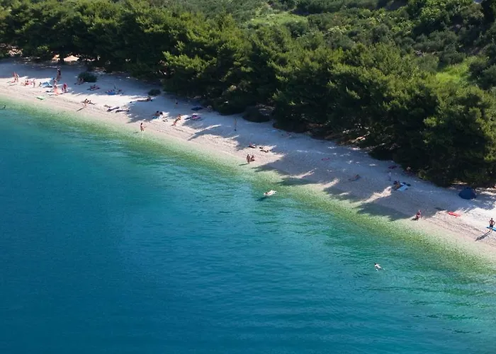 Gaston * Podgora (Split-Dalmatia)